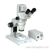 Stereo Microscope