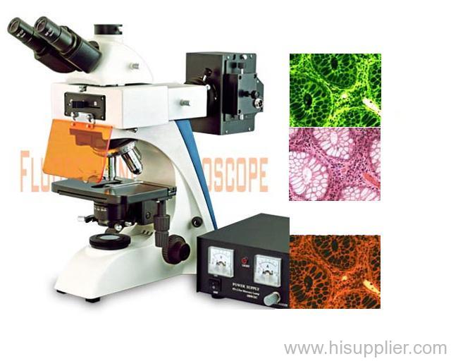 Flourescence microscopy