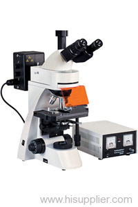 trinocular eyepieces Flourescence Microscope