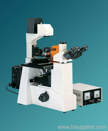 Flourescence Microscope