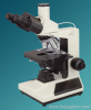 Video Microscope
