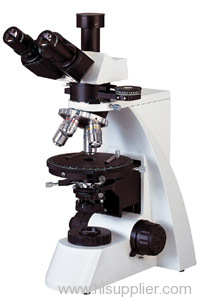 interferometric polarization microscope