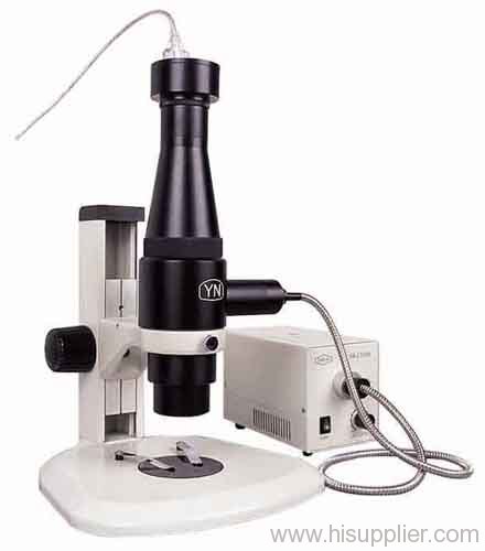 Handheld DigitalV ideo Microscope