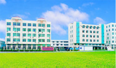 Ruitai Motive Group Co., Ltd.