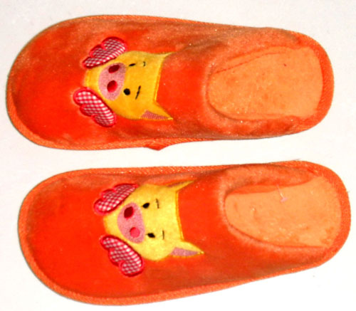 Slipper