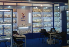 Shen Zhen New Star Porcelain Co.,Ltd.