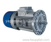 AC Brake Motor