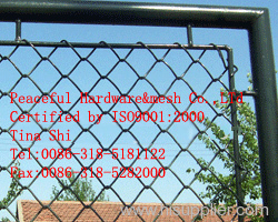 Chain Link Netting