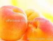 Apricot Puree