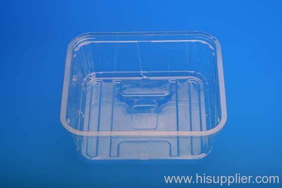 Fruit Food Container