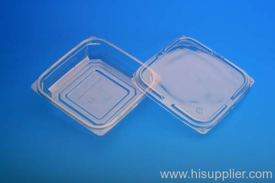 Disposable Container