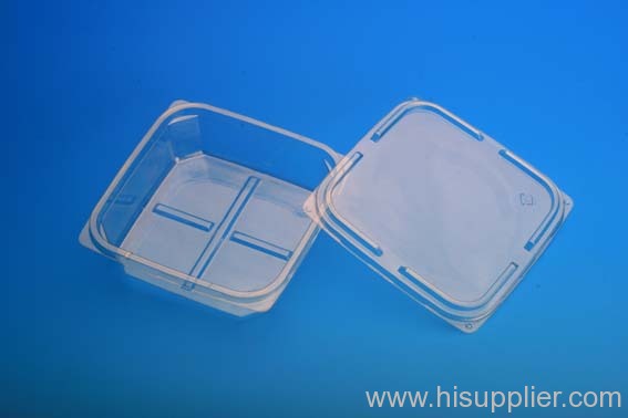 Food Container