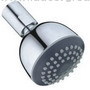 Fixed shower head