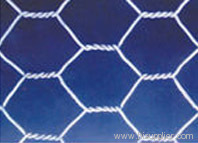 hexagonal iron wire netting