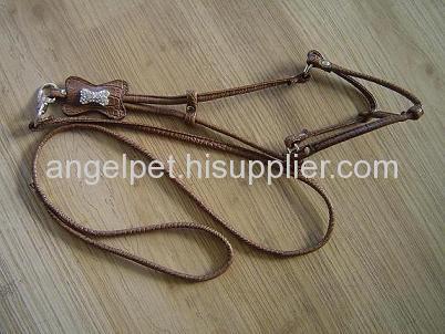 leash and harness