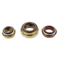 Automotive Multi spring Pump Seal