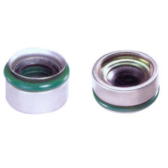 Rotary Shaft Oil Seal