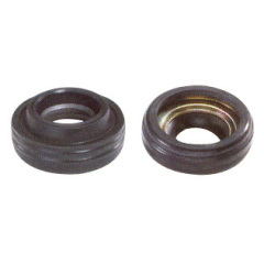 Lip Type Shaft Seal