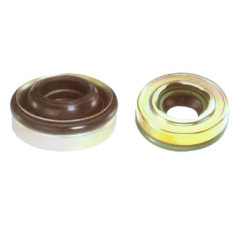 Rotary shaft lip seal