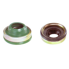 oil lip seal