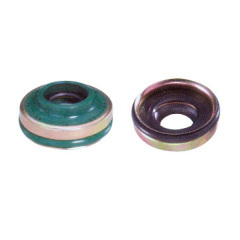 lip mounted shaft seal