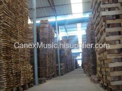 Tianjin Canex Musical Instruments Co.,Ltd.