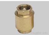 Sanitary Vertical Check Valve