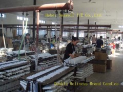 Hebei Seawell Import and Export Co.,Ltd.