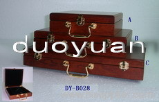 Dy-b028