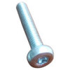 Dormant Hexagon Socket Head Cap Bolt