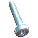 Hex Socket Cap Screw