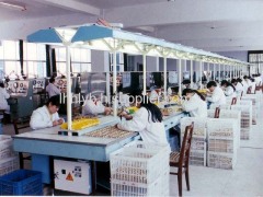 Linhai Huali Apparatus Co.,Ltd.