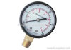 Ordinary Pressure Gauge