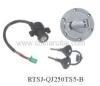 motorcycle switch kits
