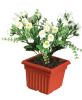 Plastic Flower Pot