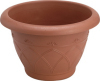 Flower Pot