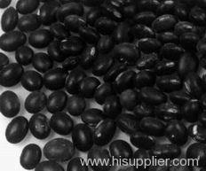 Black Soybean