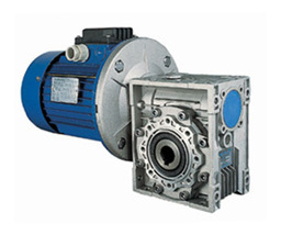 DC worm gear motor