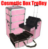 beauty luggage