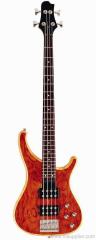 Electric Bass