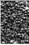 steel grit,steel cut wire shot,stainless steel shot