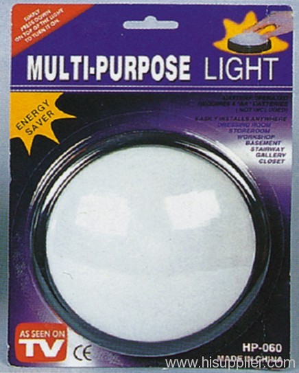 Multi-Purpose Light