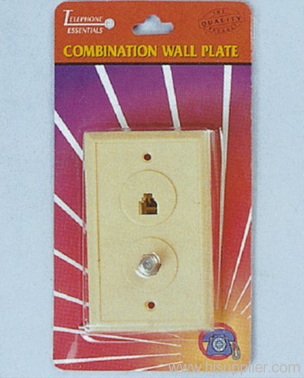 Combination Wall  Plate