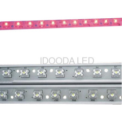 LED Rigid Strip