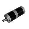 DC Brushless Gear Motor