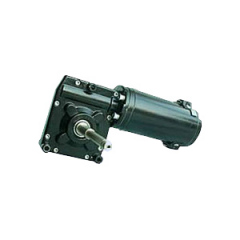 Worm Gear Motor