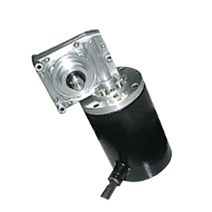 Worm Gear Motor