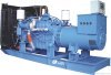 Diesel Generating Set