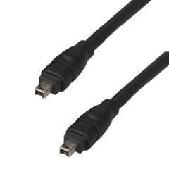 IEEE 1394 Firewire