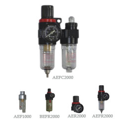 regulator airsource treatment